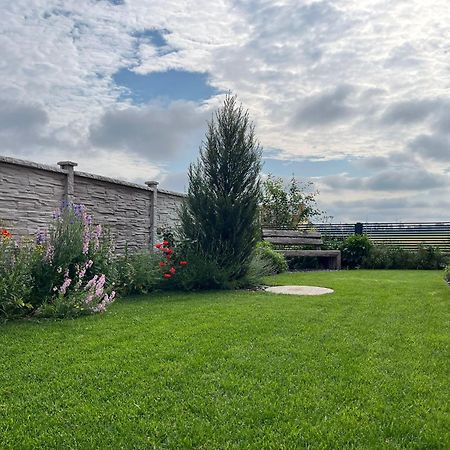 Villa Rose Close To Vienna & Airport Maria Ellend Exteriör bild