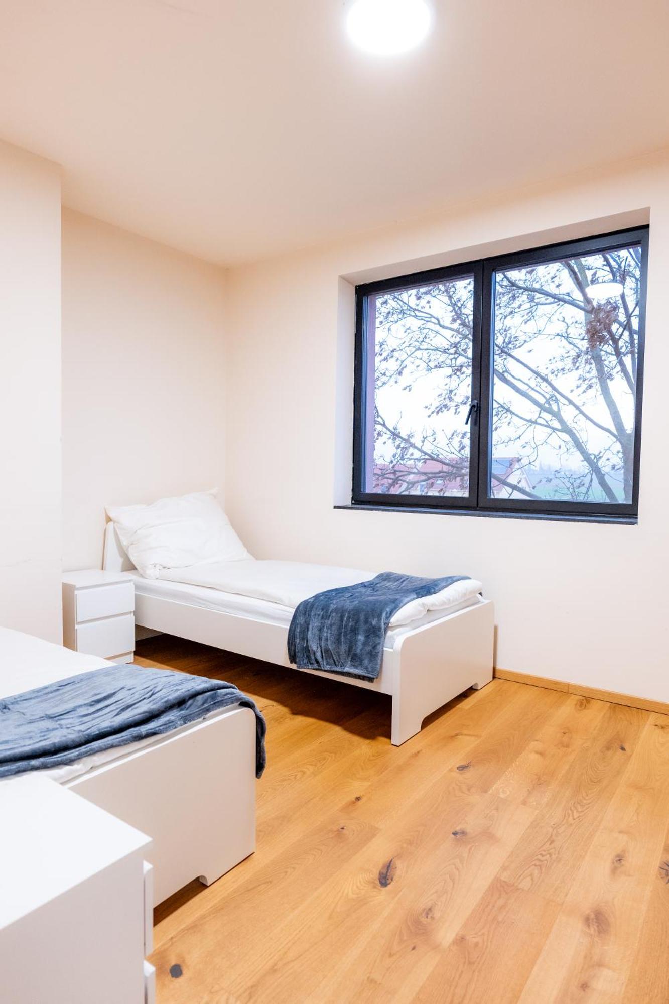 Villa Rose Close To Vienna & Airport Maria Ellend Exteriör bild